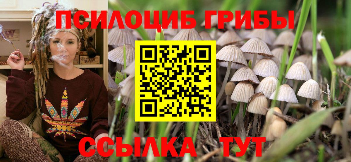 Галлюциногенные грибы Psilocybe  Псилоцибиновые грибы мухоморы  Вход с VPN  Кстово 