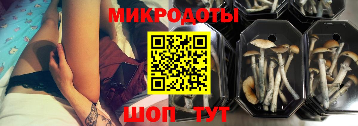Галлюциногенные грибы Cubensis Кстово